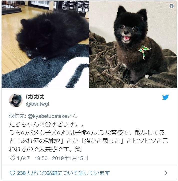圖片7 圖片7