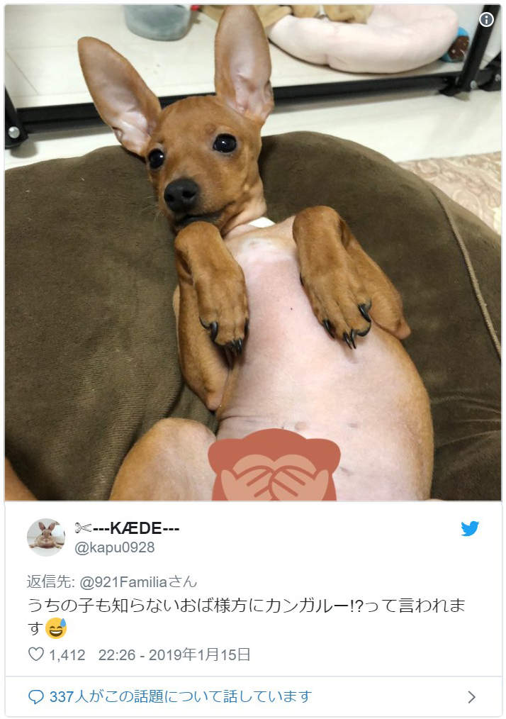 圖片11 圖片11