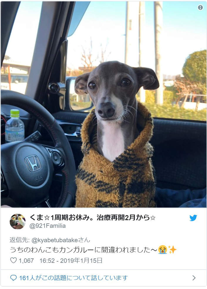 圖片12 圖片12
