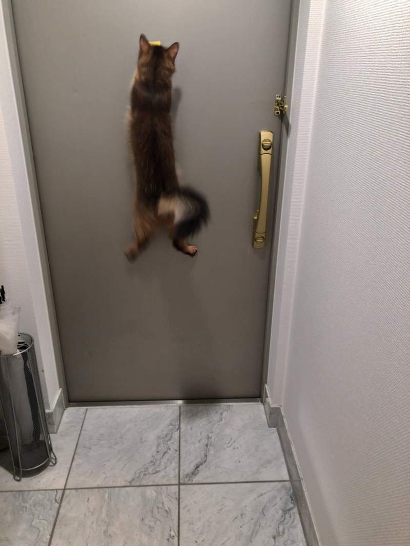 圖片7 圖片7