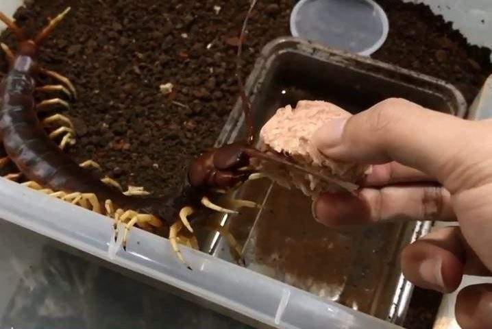 圖片4 圖片4