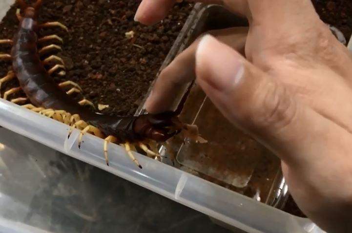 圖片5 圖片5