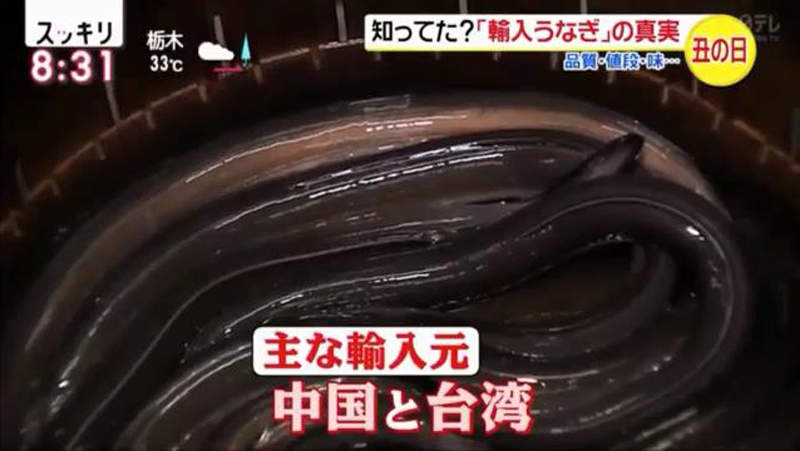 圖片5 圖片5