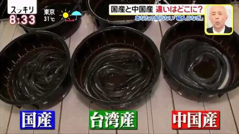 圖片10 圖片10