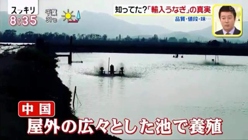 圖片11 圖片11