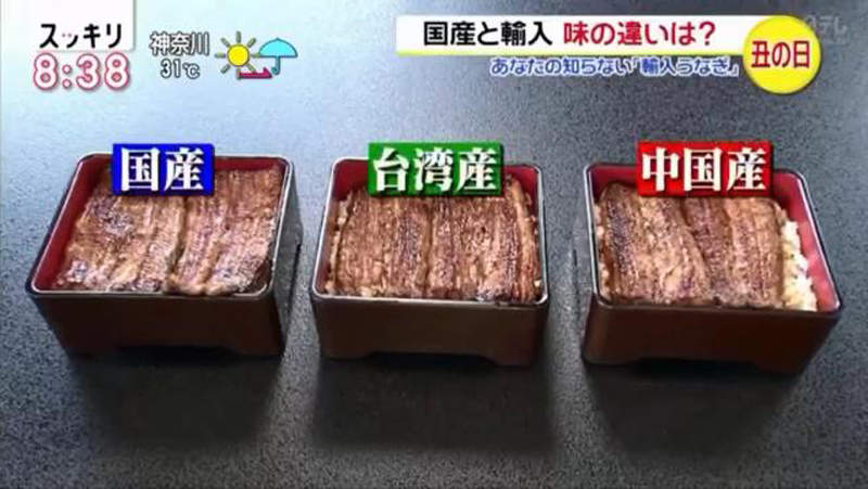 圖片13 圖片13