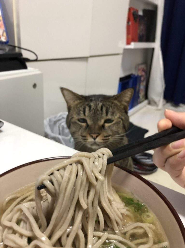 圖片14 圖片14