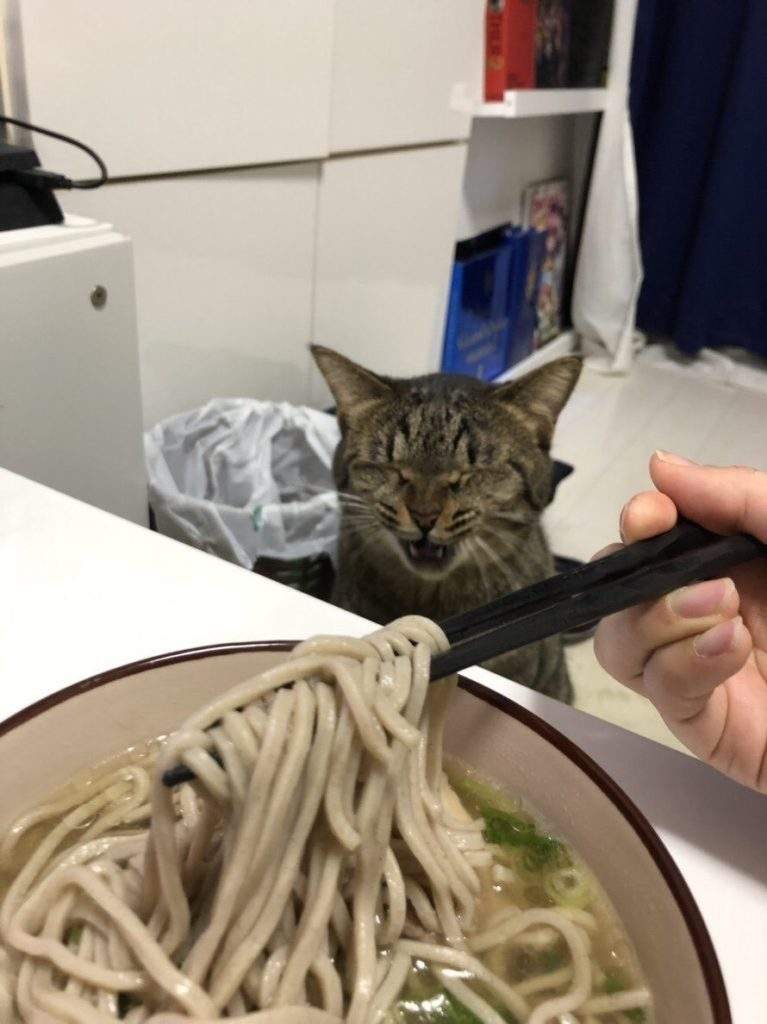 圖片15 圖片15