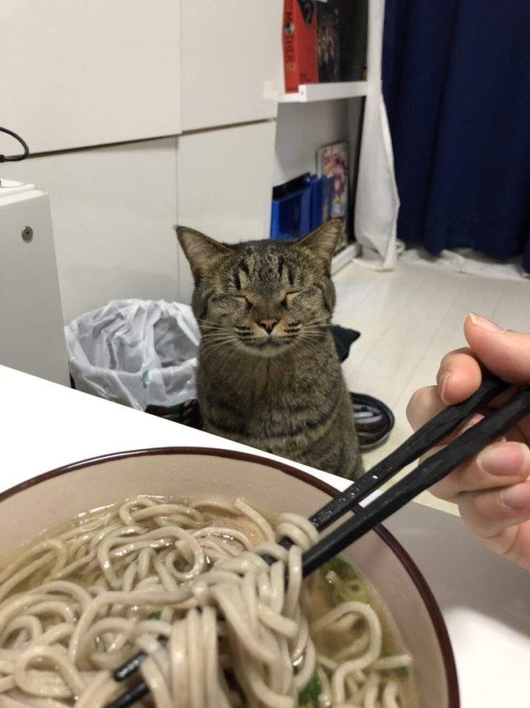圖片16 圖片16