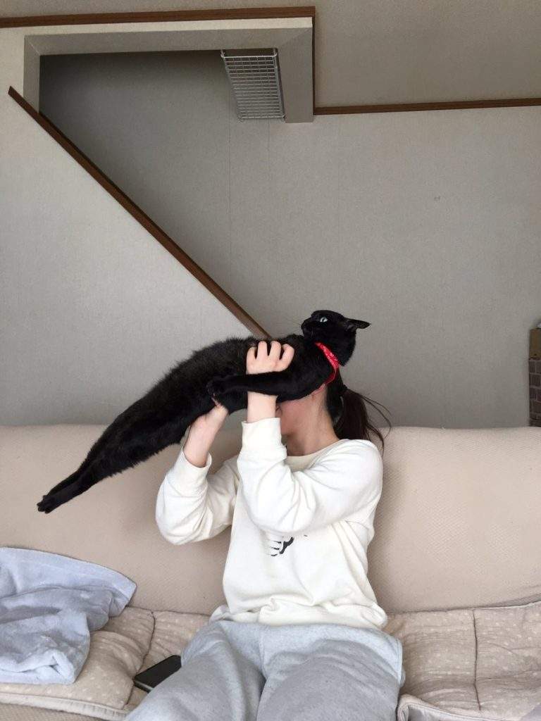 圖片7 圖片7