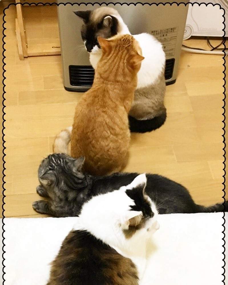 圖片6 圖片6