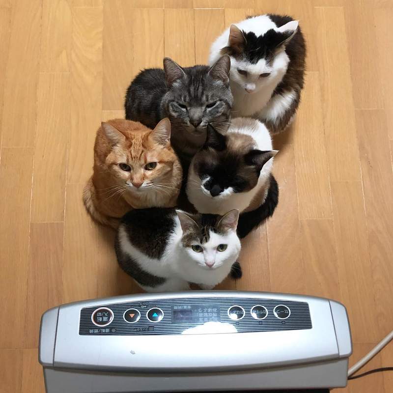 圖片5 圖片5