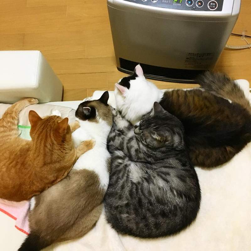 圖片7 圖片7