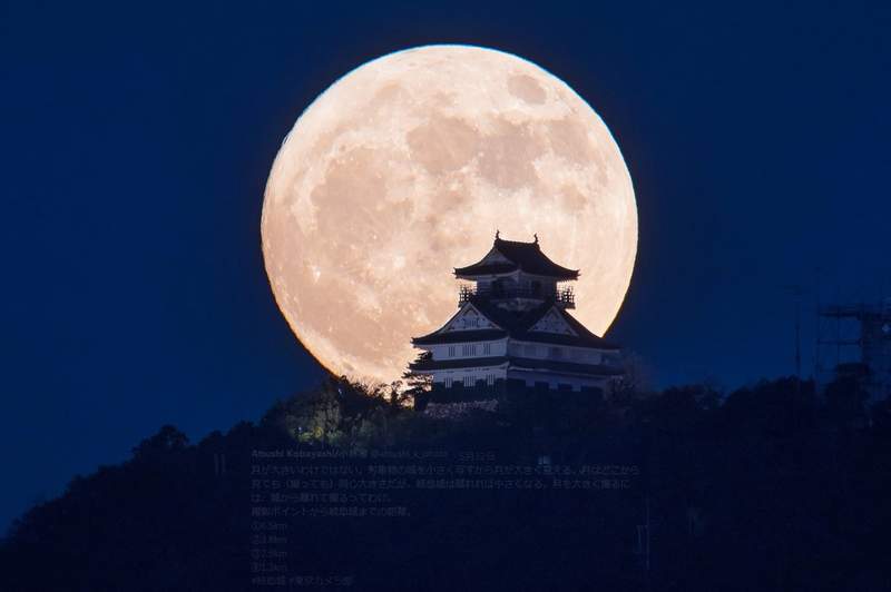 圖片4 圖片4