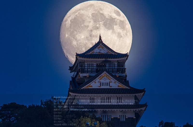 圖片6 圖片6