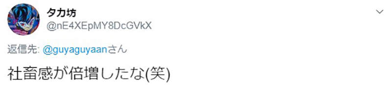 圖片11 圖片11