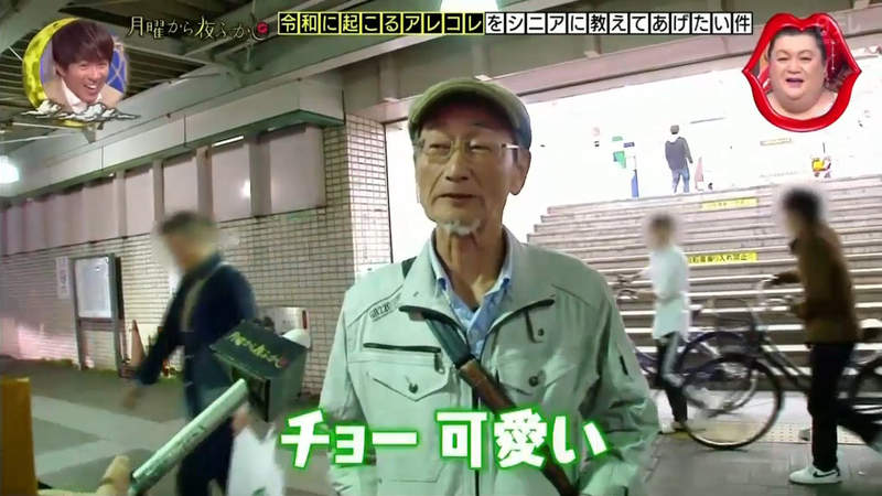 圖片13 圖片13
