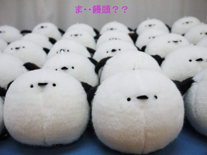 圖片9 圖片9