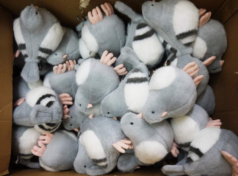 圖片8 圖片8