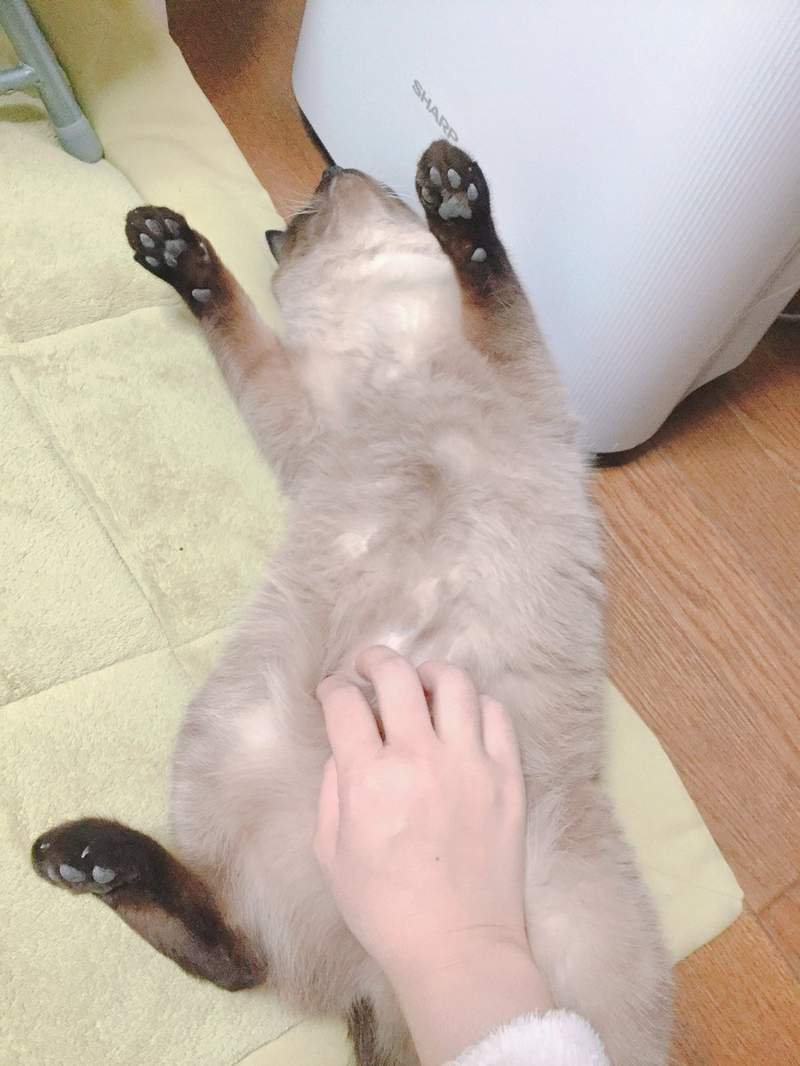圖片4 圖片4
