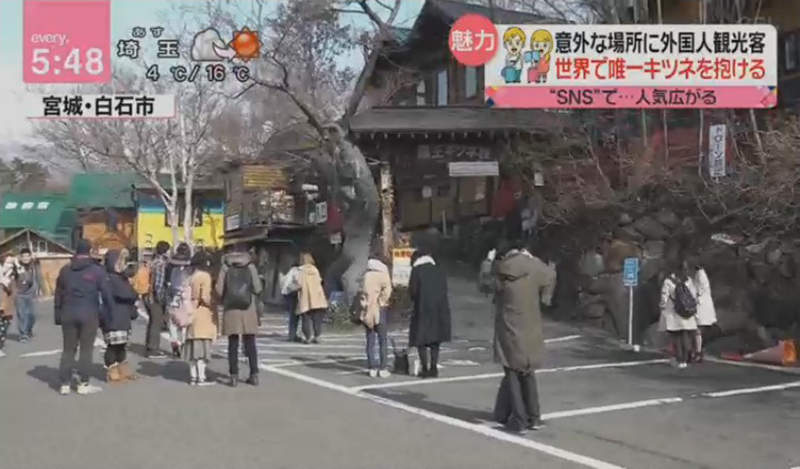 圖片4 圖片4