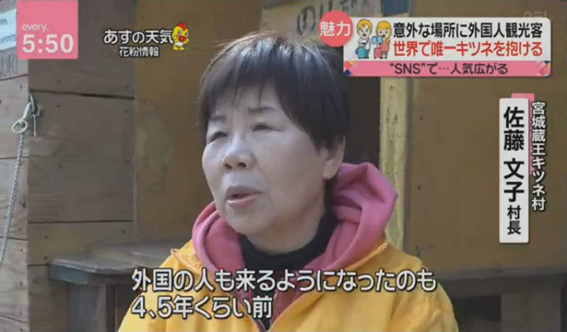 圖片10 圖片10