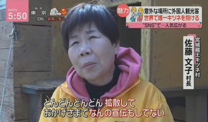圖片11 圖片11