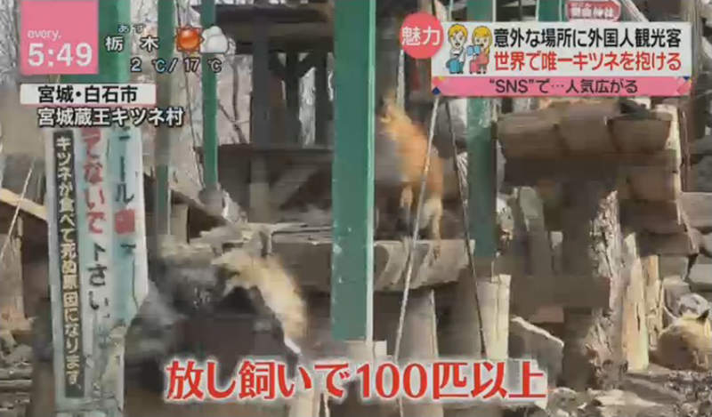 圖片5 圖片5