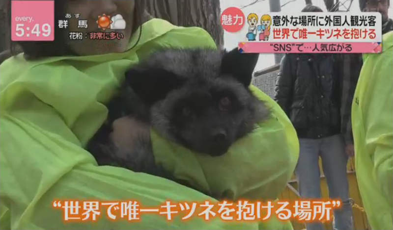 圖片7 圖片7