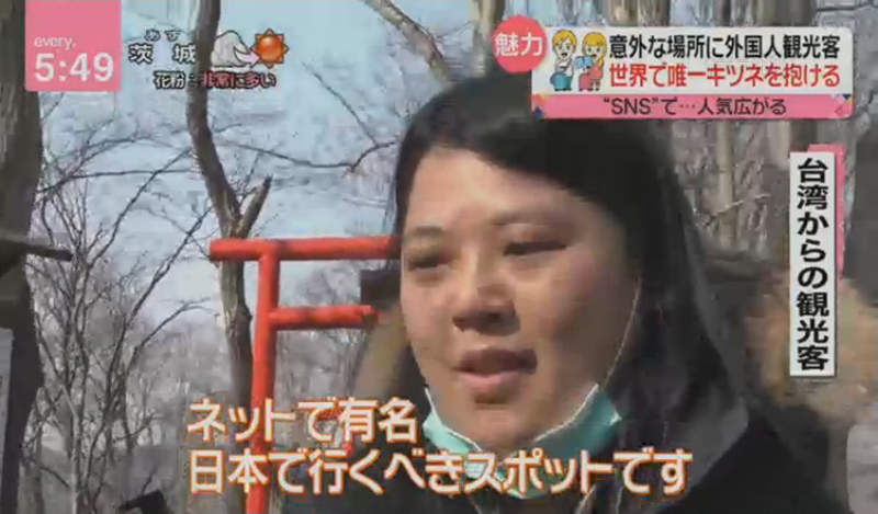 圖片9 圖片9