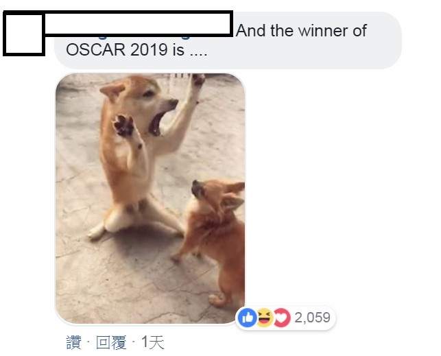 圖片7 圖片7