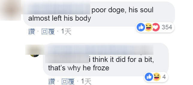 圖片8 圖片8