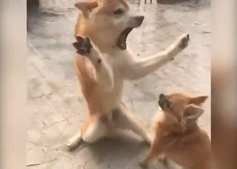 圖片4 圖片4