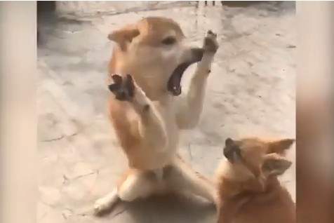 圖片12 圖片12
