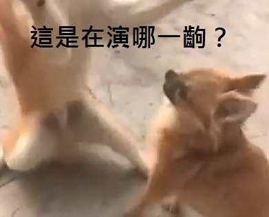 圖片6 圖片6
