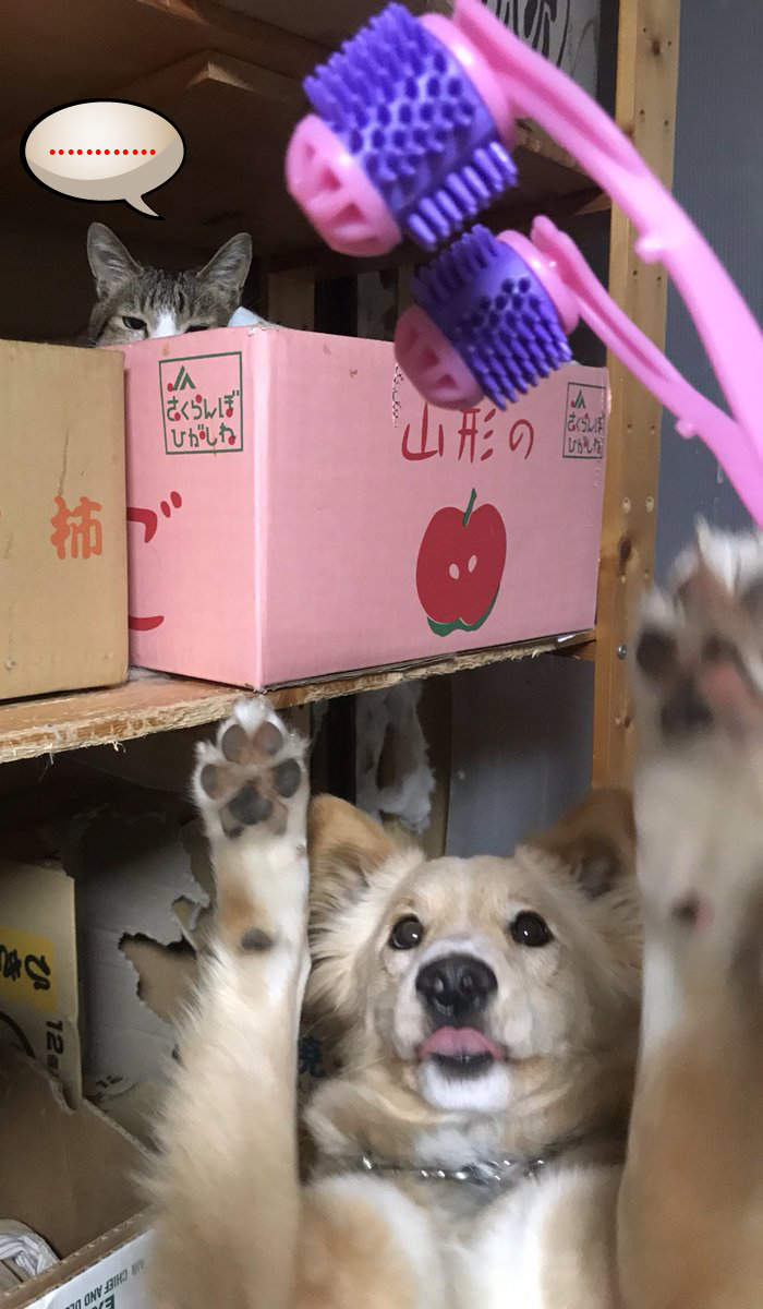 圖片6 圖片6