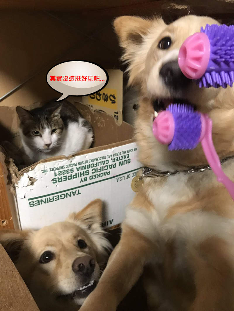 圖片7 圖片7
