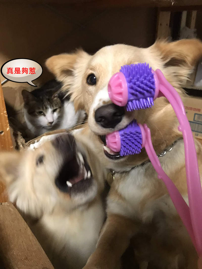 圖片8 圖片8