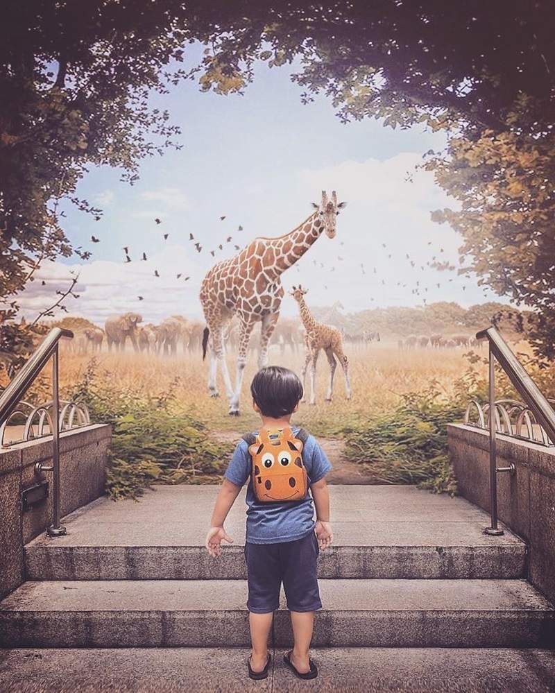 圖片16 圖片16