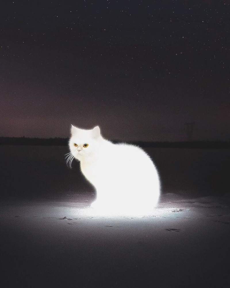 圖片5 圖片5