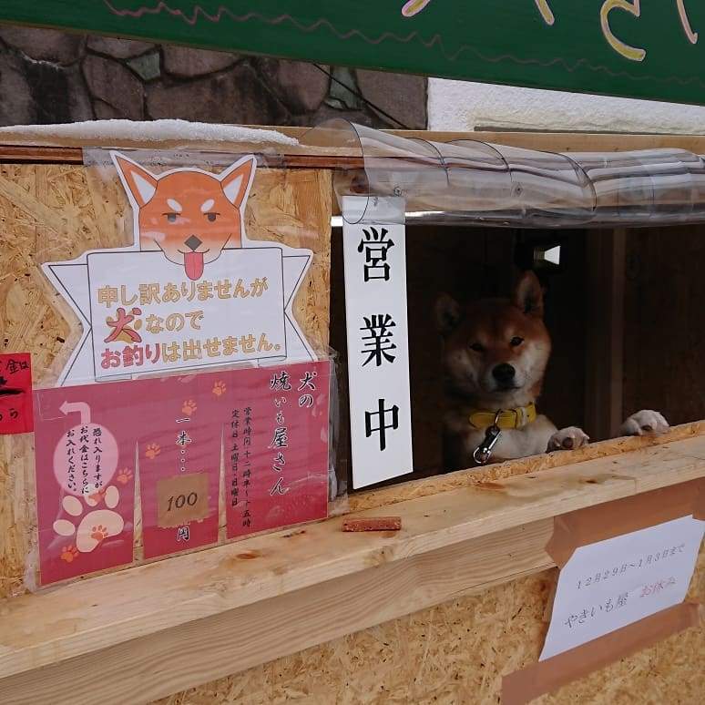 圖片6 圖片6