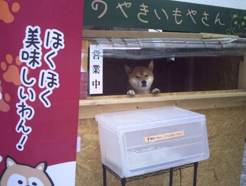 圖片7 圖片7
