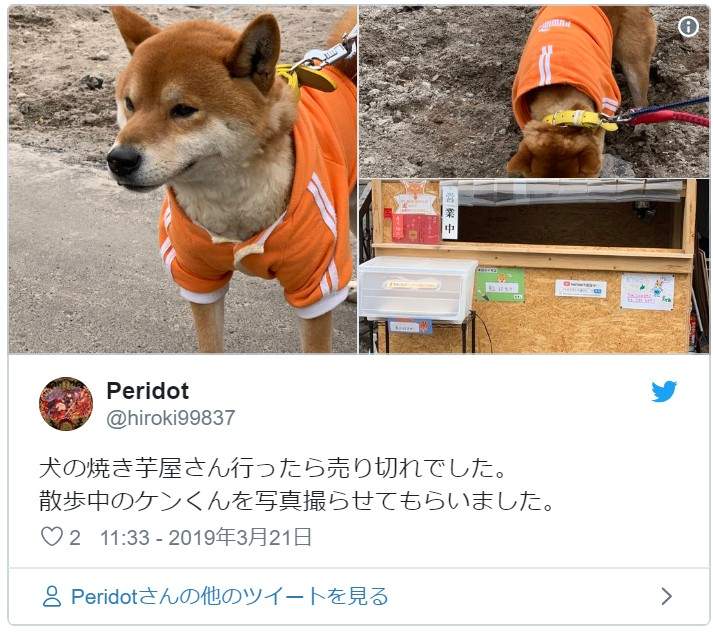 圖片9 圖片9