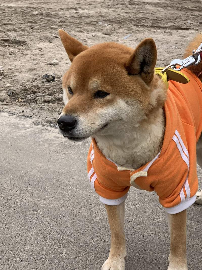 圖片10 圖片10
