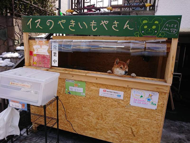 圖片4 圖片4