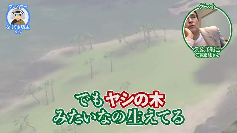 圖片11 圖片11