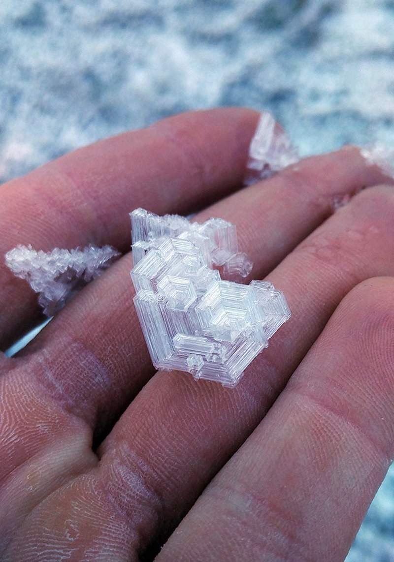 圖片9 圖片9