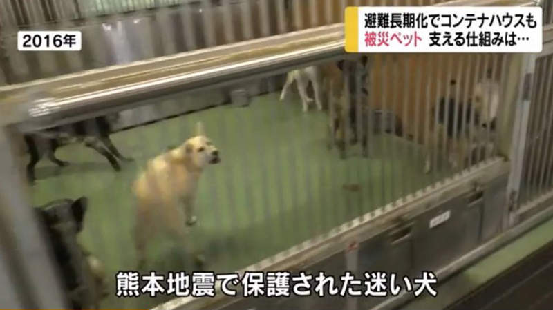 圖片5 圖片5