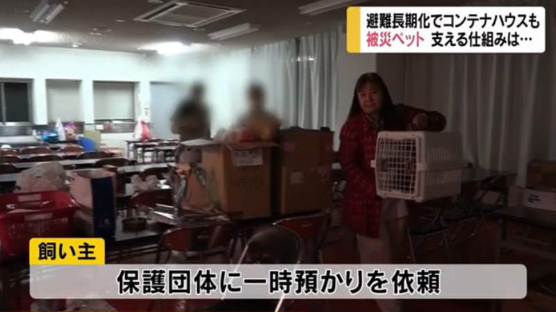 圖片14 圖片14