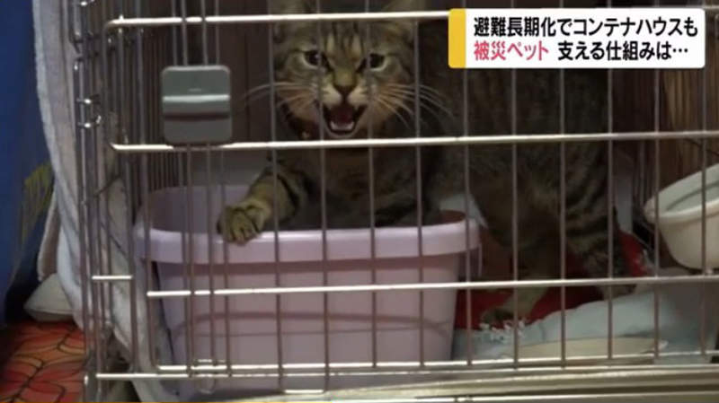 圖片16 圖片16